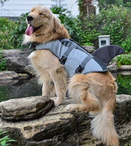 Funny Cute Dog Life Jacket