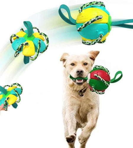 Interactive Flying Disk Ball Dog Toy