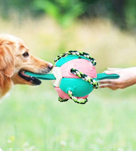 Interactive Flying Disk Ball Dog Toy