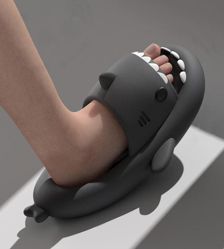 Premium Shark Slides for kids